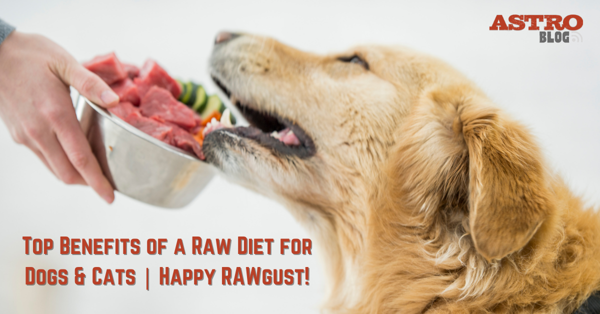 Orders happy dog raw food